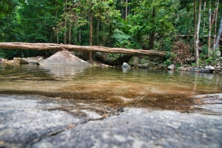 Seven Wells