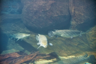 Underwater World