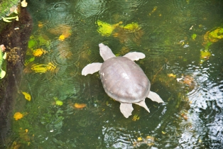 Underwater World