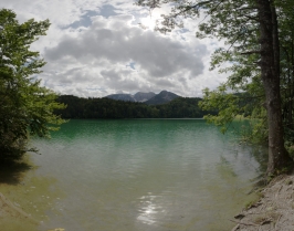 Alatsee