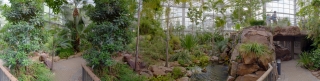 Palmengarten (52)