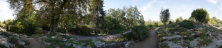 Palmengarten (15)