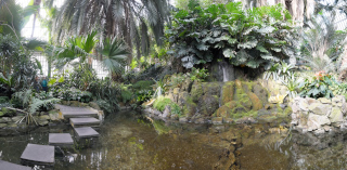 Palmengarten