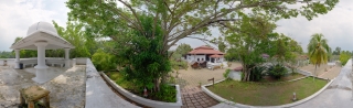 Rice Garden