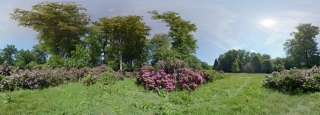 Wolfsgarten (Langen)